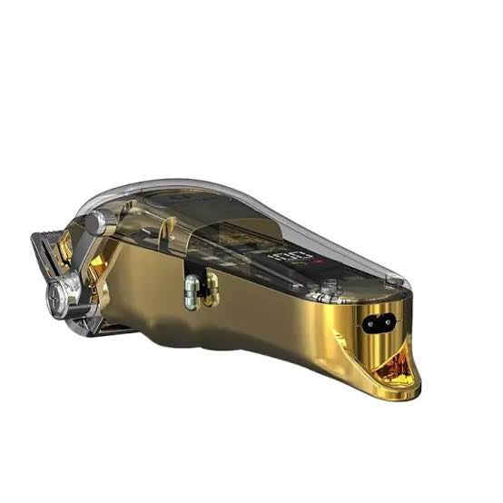 Dingling Professional Hair Trimmer