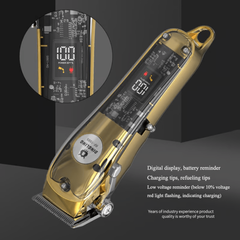 Dingling Professional Hair Trimmer